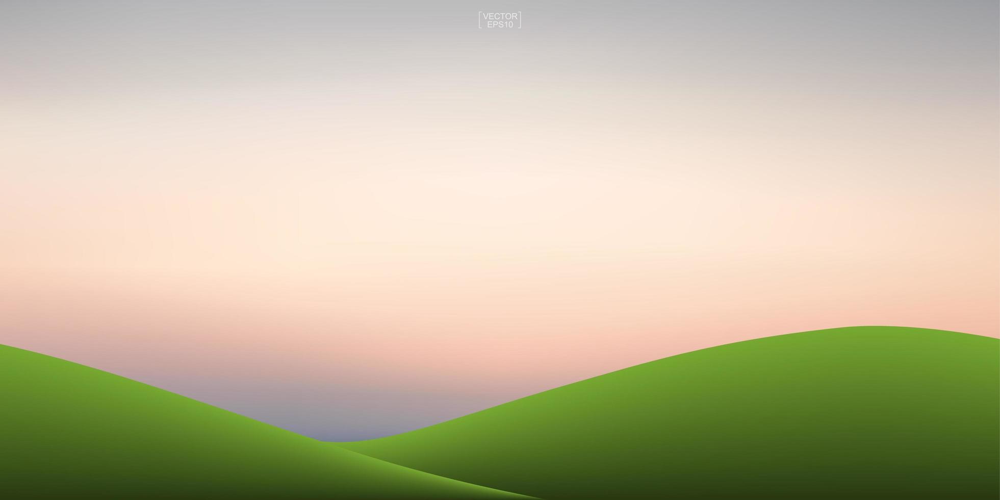 colina de hierba verde y fondo de cielo al atardecer. Fondo natural al aire libre para el diseño de plantillas. vector. vector