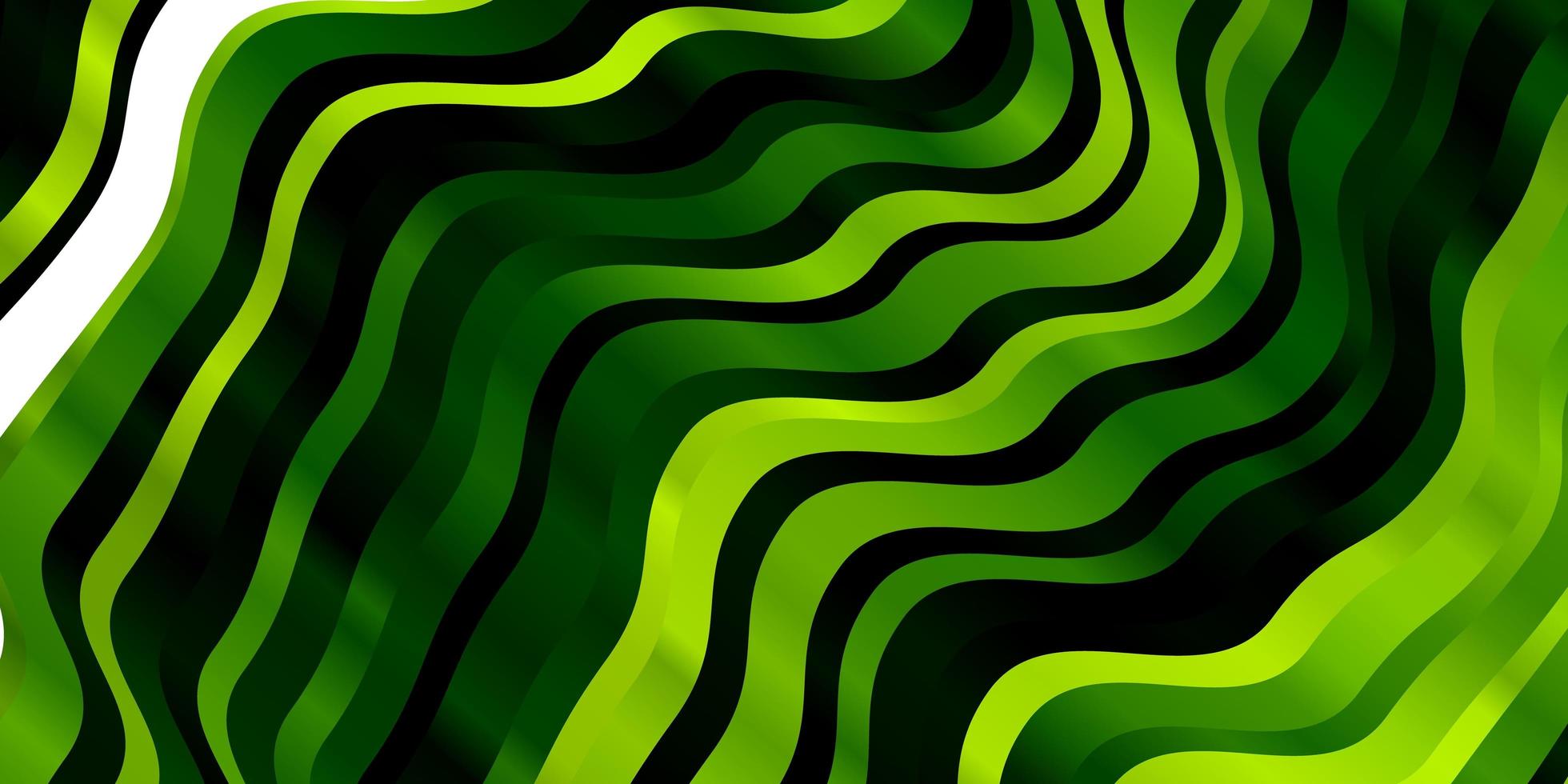 textura de vector verde claro, amarillo con curvas.