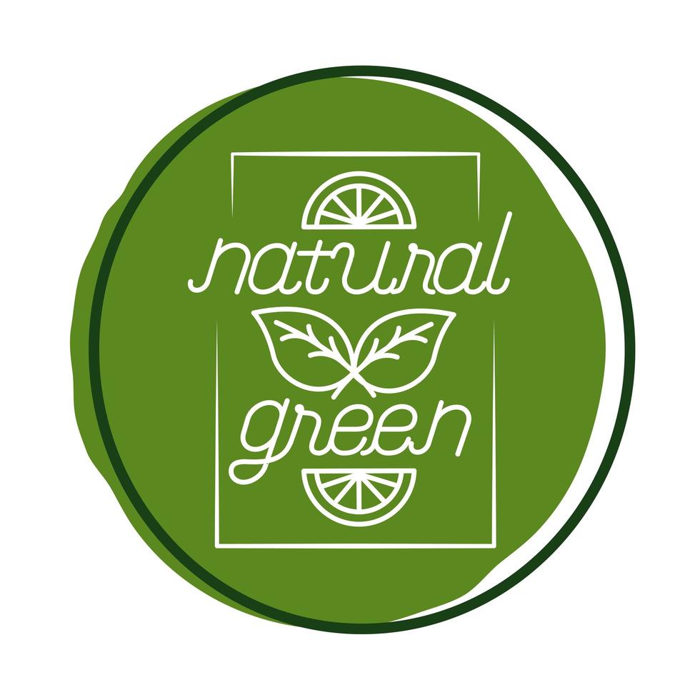 organic nature leaves icon vector