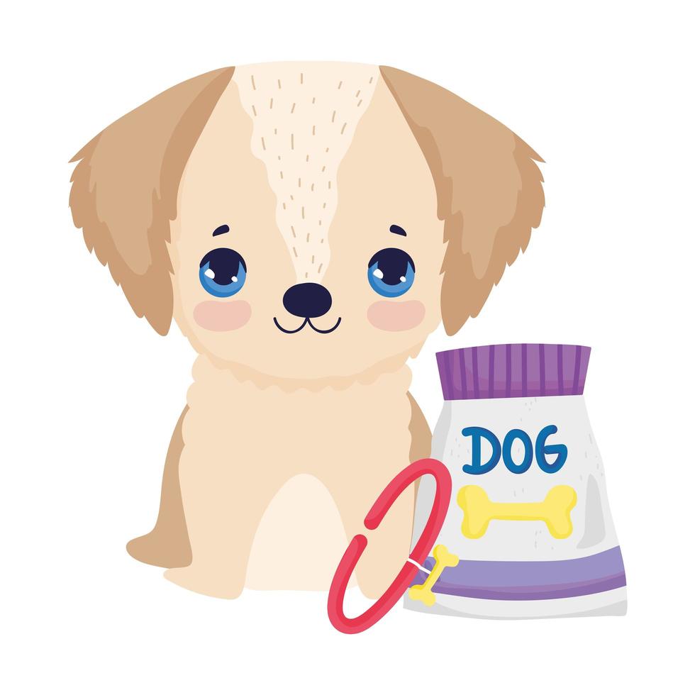 little dog sitting with collar and food package pets vector