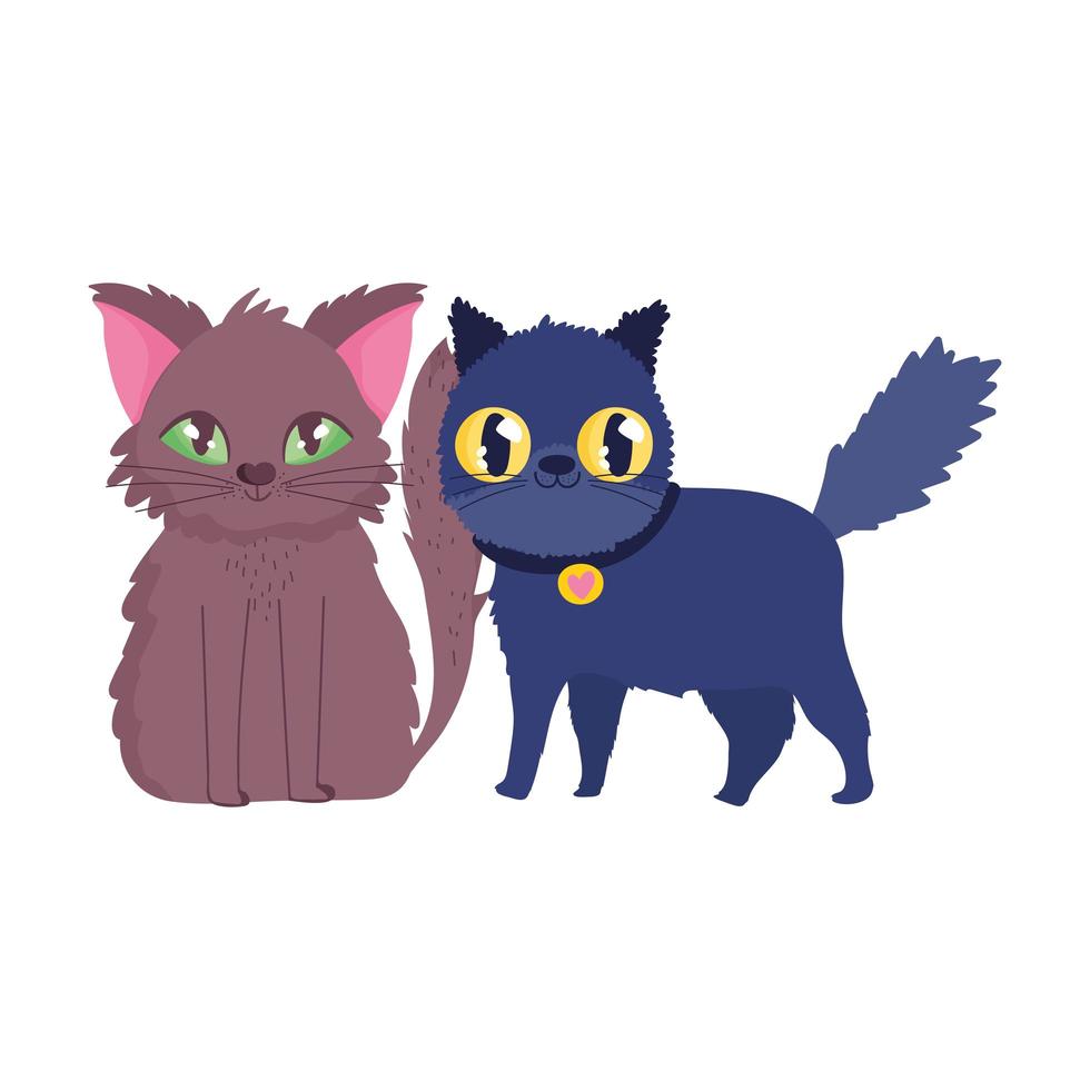 gato y gato negro con collar mascotas felinas de dibujos animados vector