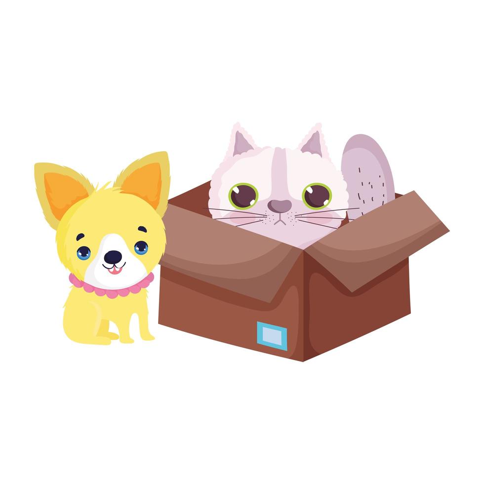 perro y gato en caja mascota mascotas de dibujos animados vector