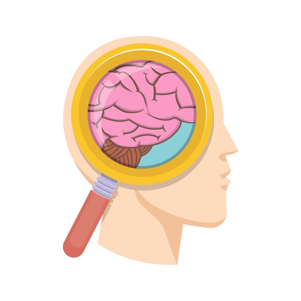 Ilustración de diseño de vector de estudio de cerebro humano aislado sobre fondo blanco