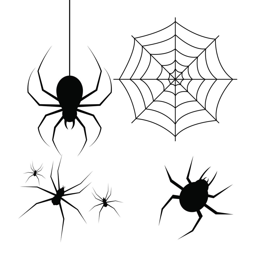 Ilustración de diseño de vector de araña aislado sobre fondo blanco