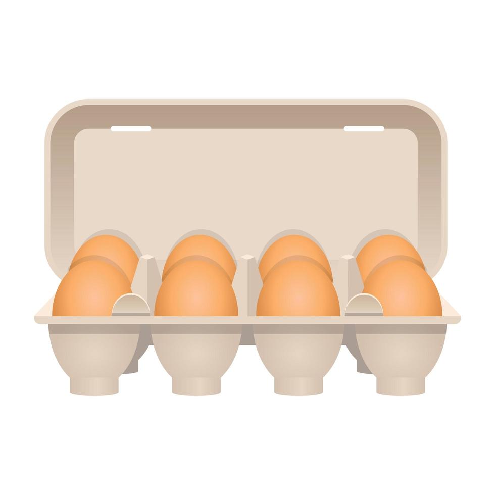 Huevos de gallina en cartón ilustración de diseño vectorial aislado sobre fondo blanco. vector