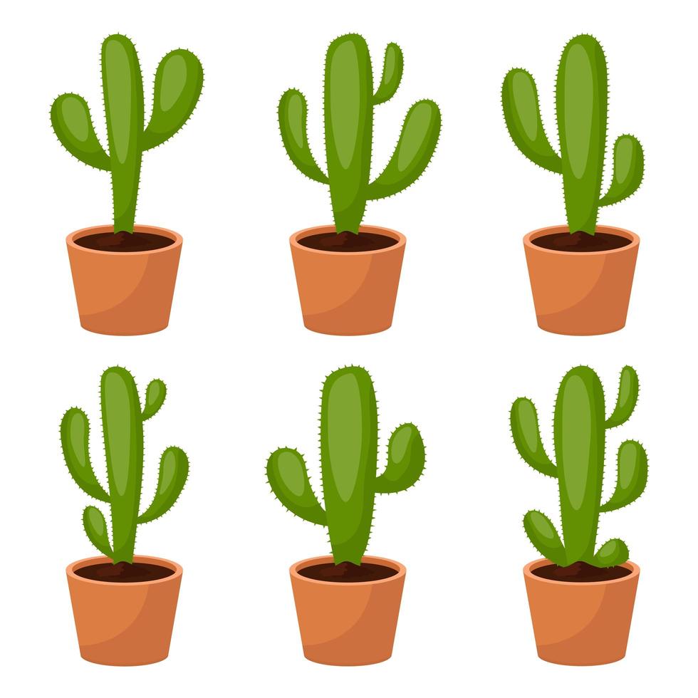 cactus set ilustración de diseño vectorial aislado sobre fondo blanco vector