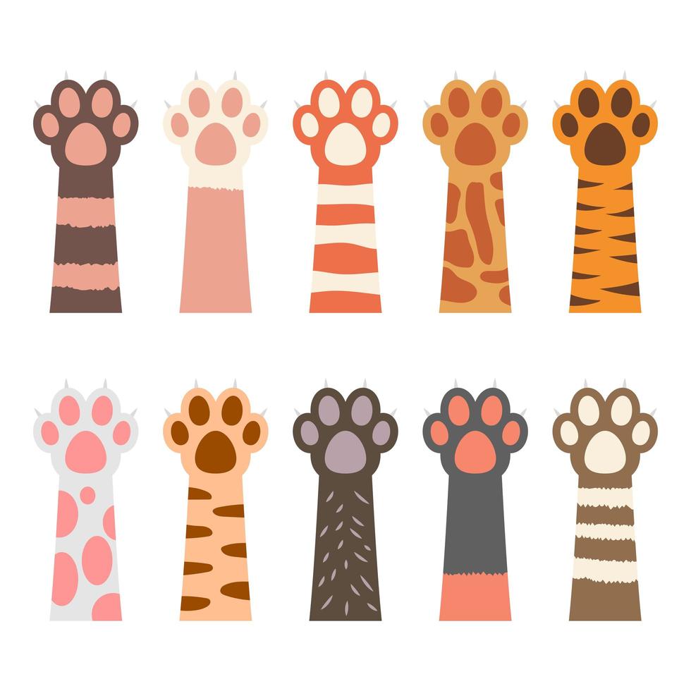 Cat paw vector design illustration isolated on white background