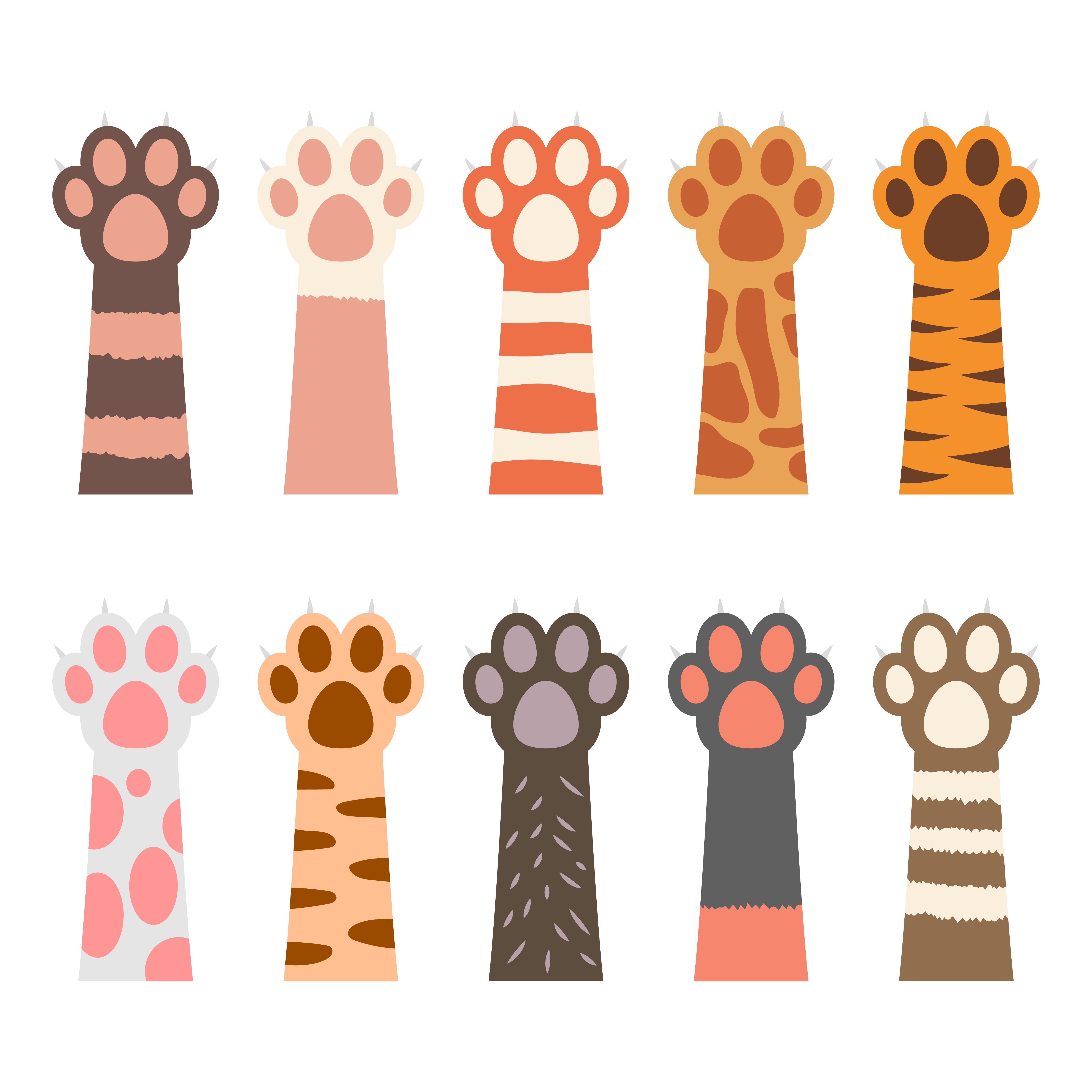 Cats Paw Vector
 Cat paw vector design illustration isolated on white background