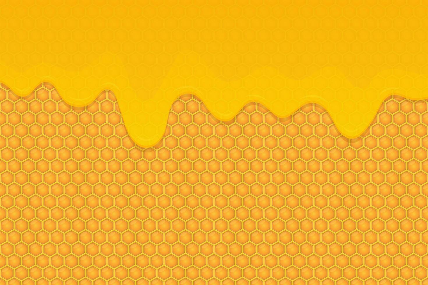 Honey background vector design illustration