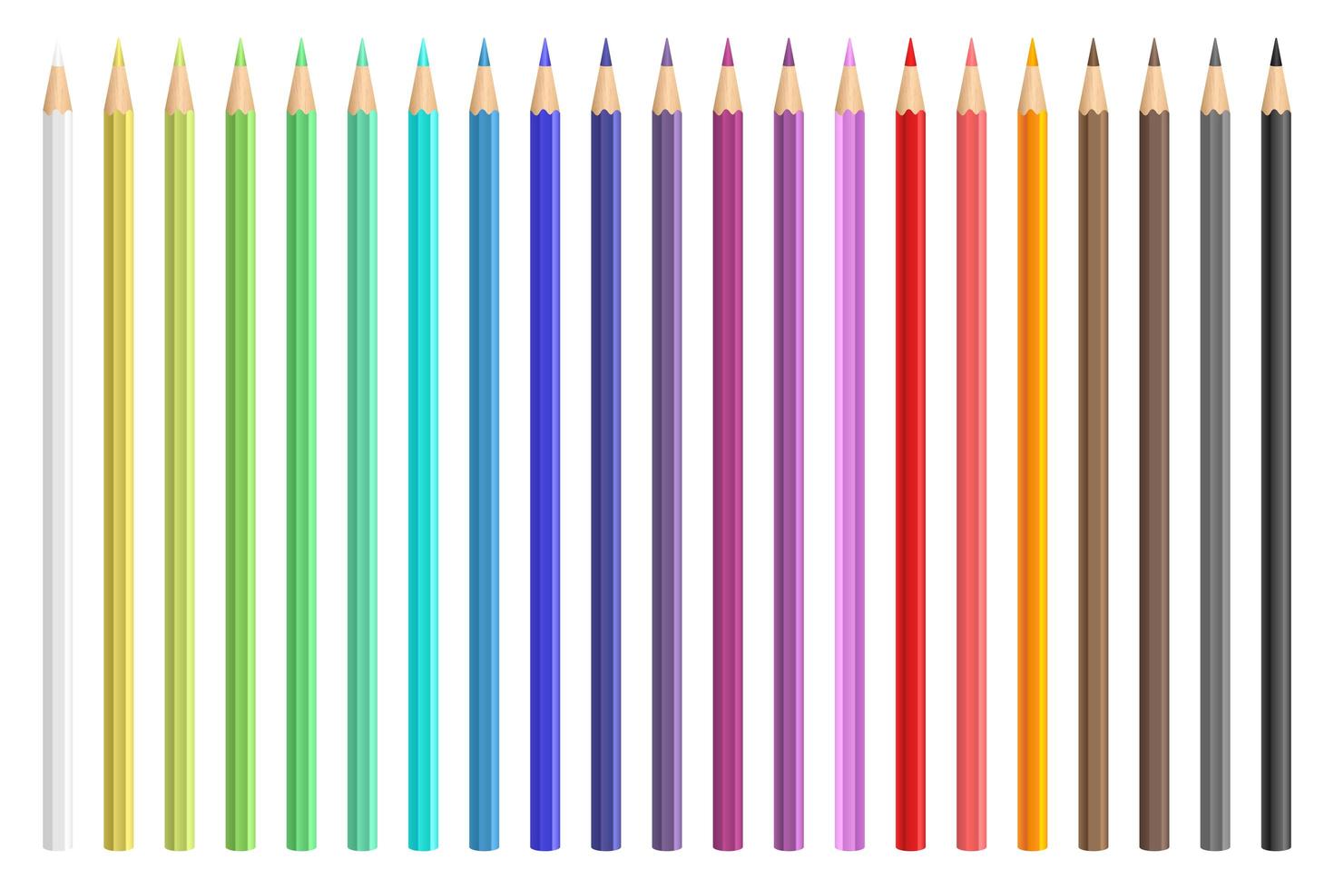 Ilustración de diseño vectorial de lápices de colores aislado sobre fondo blanco. vector
