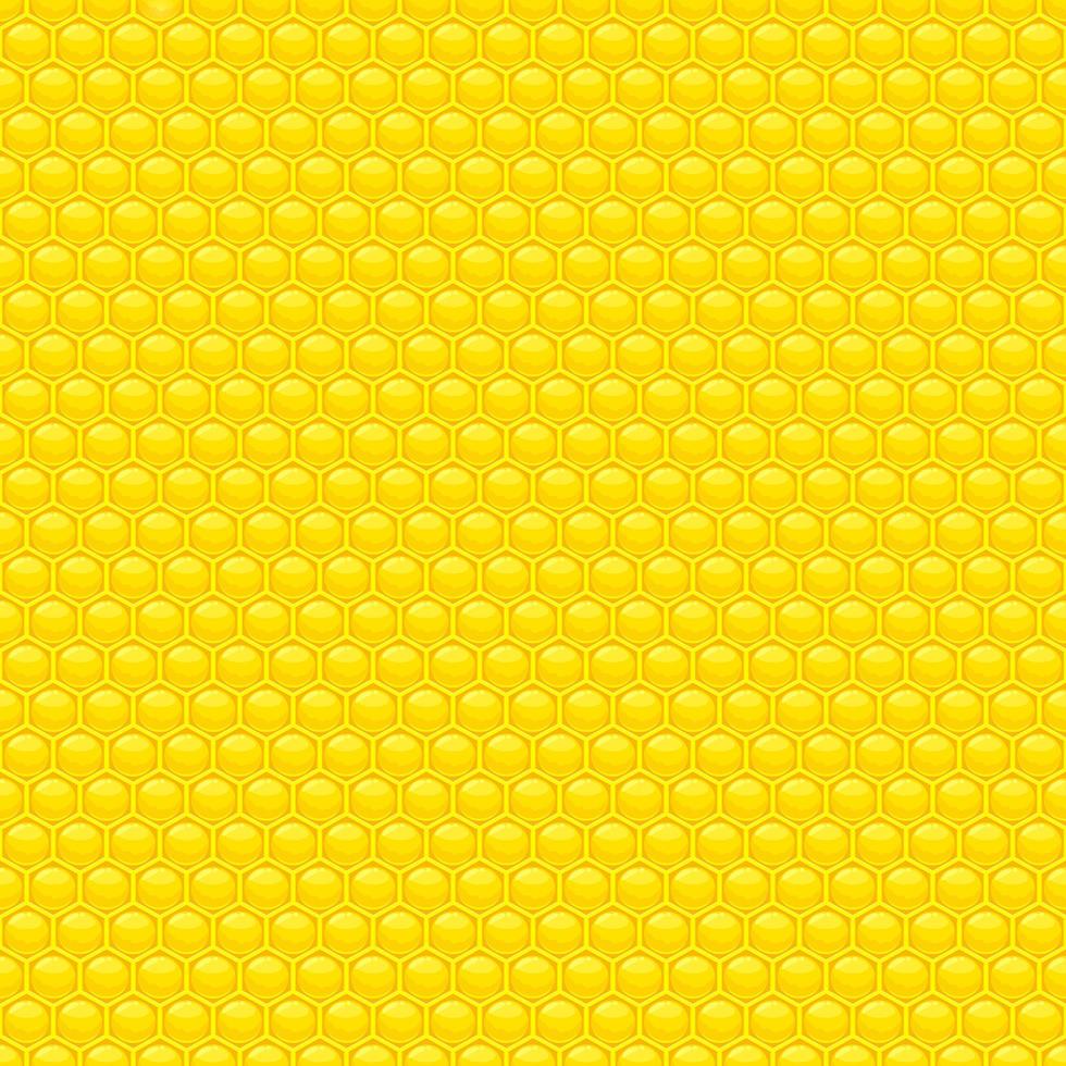 Honey seamless pattern vector design illustration