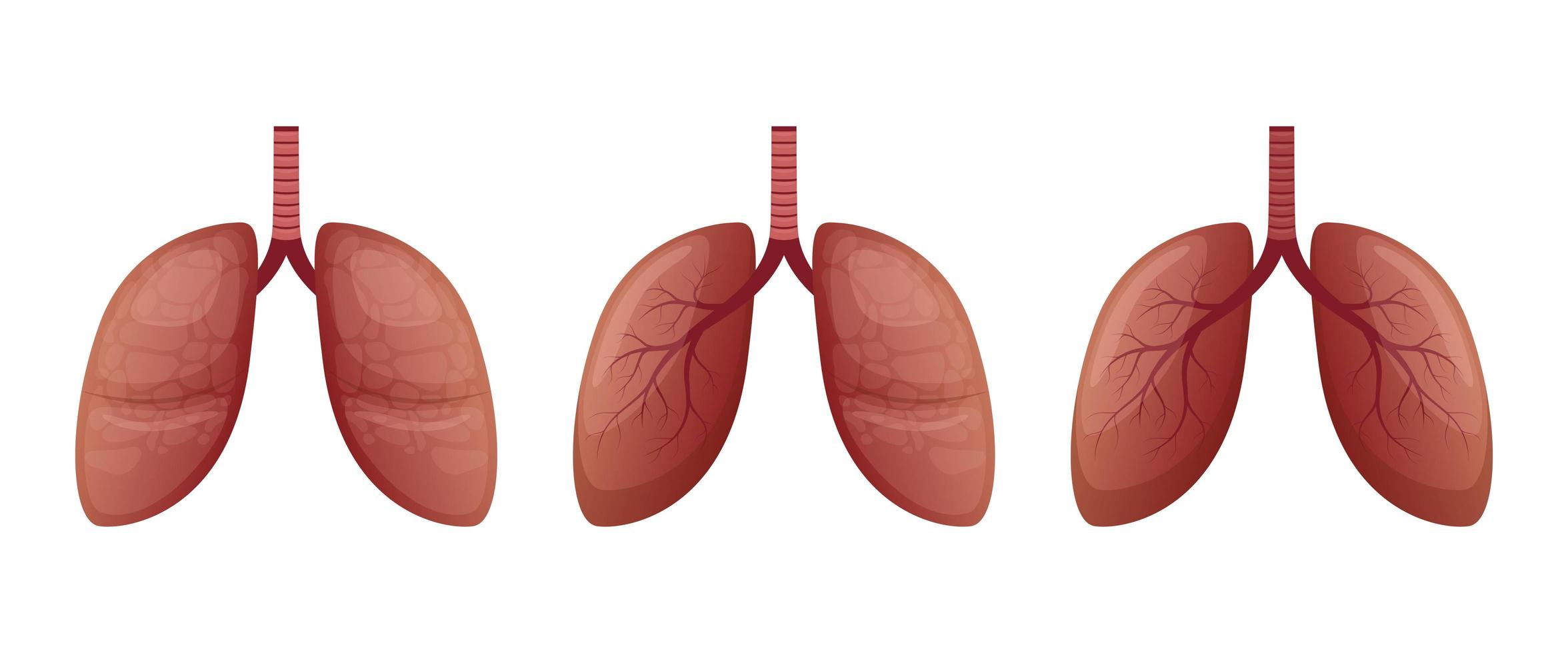 Ilustración de diseño de vector de pulmones aislado sobre fondo blanco