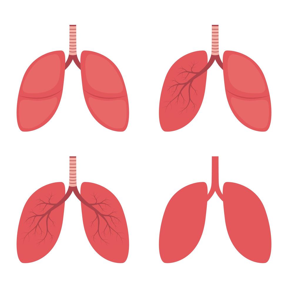 Ilustración de diseño de vector de pulmones aislado sobre fondo blanco