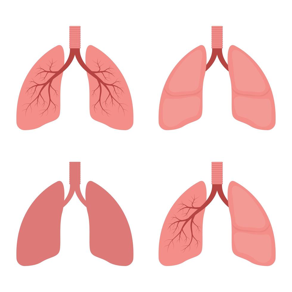 Ilustración de diseño de vector de pulmones aislado sobre fondo blanco