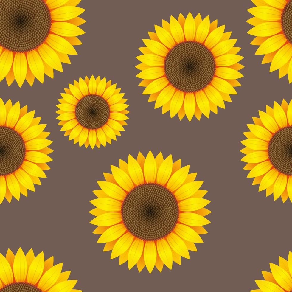 Ilustración de diseño de vector de patrones sin fisuras de girasol