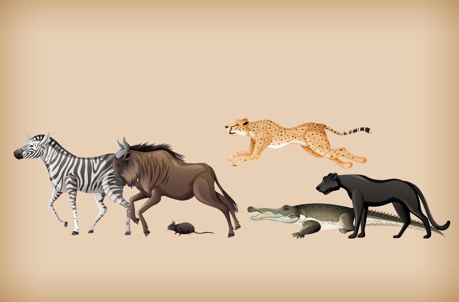 Group of wild animal on background vector