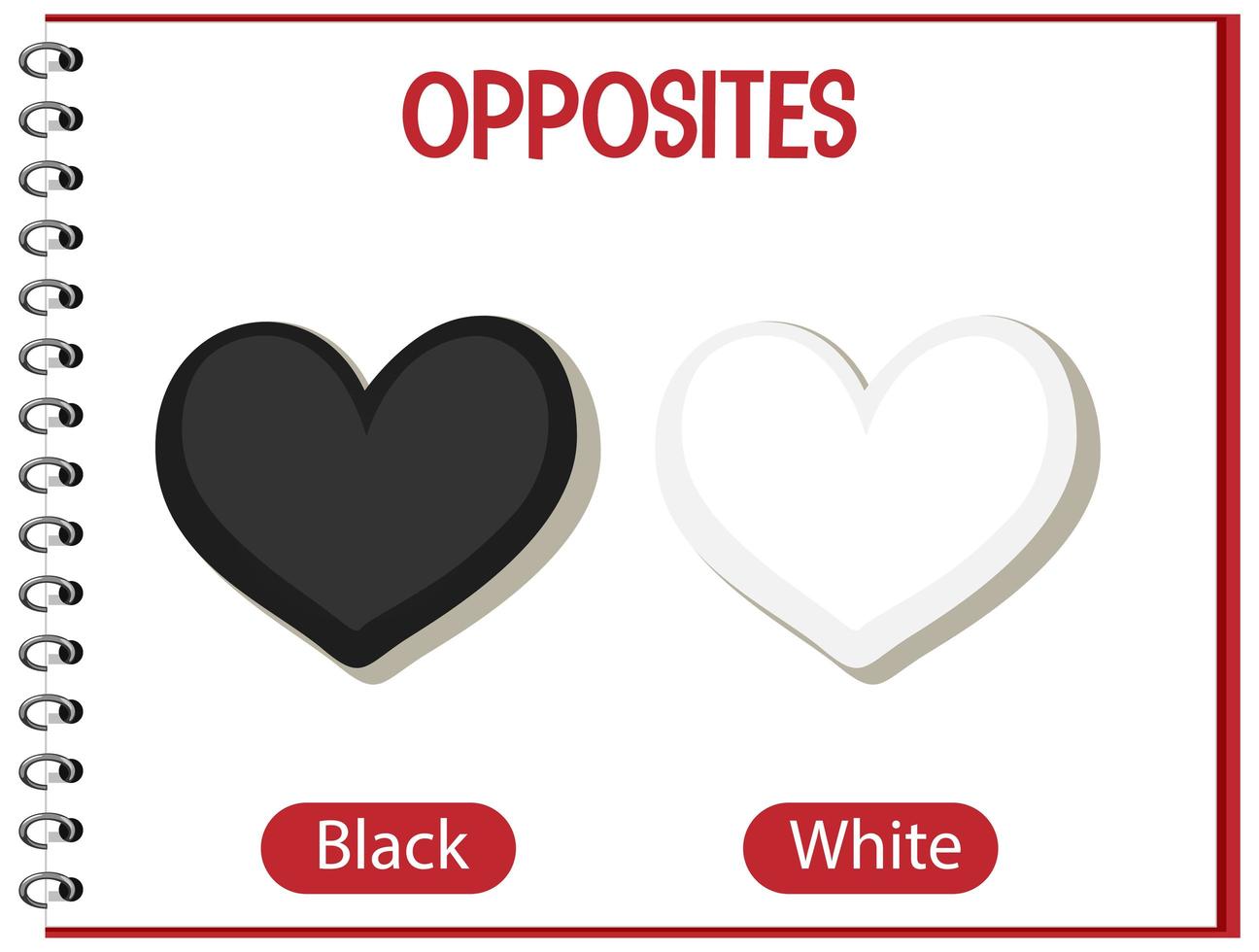 Opposite words with black and white vector