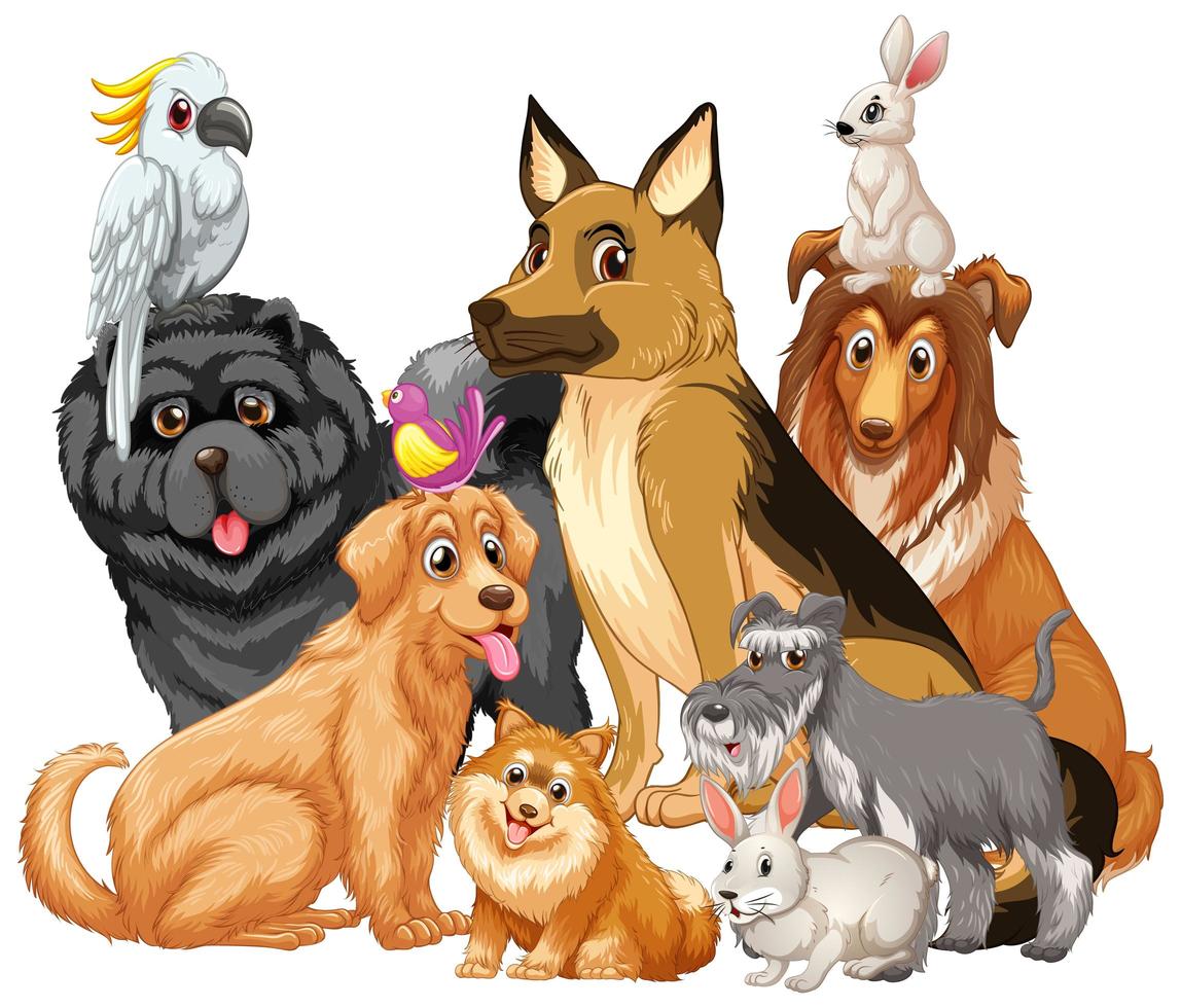 Group of pet on white background vector