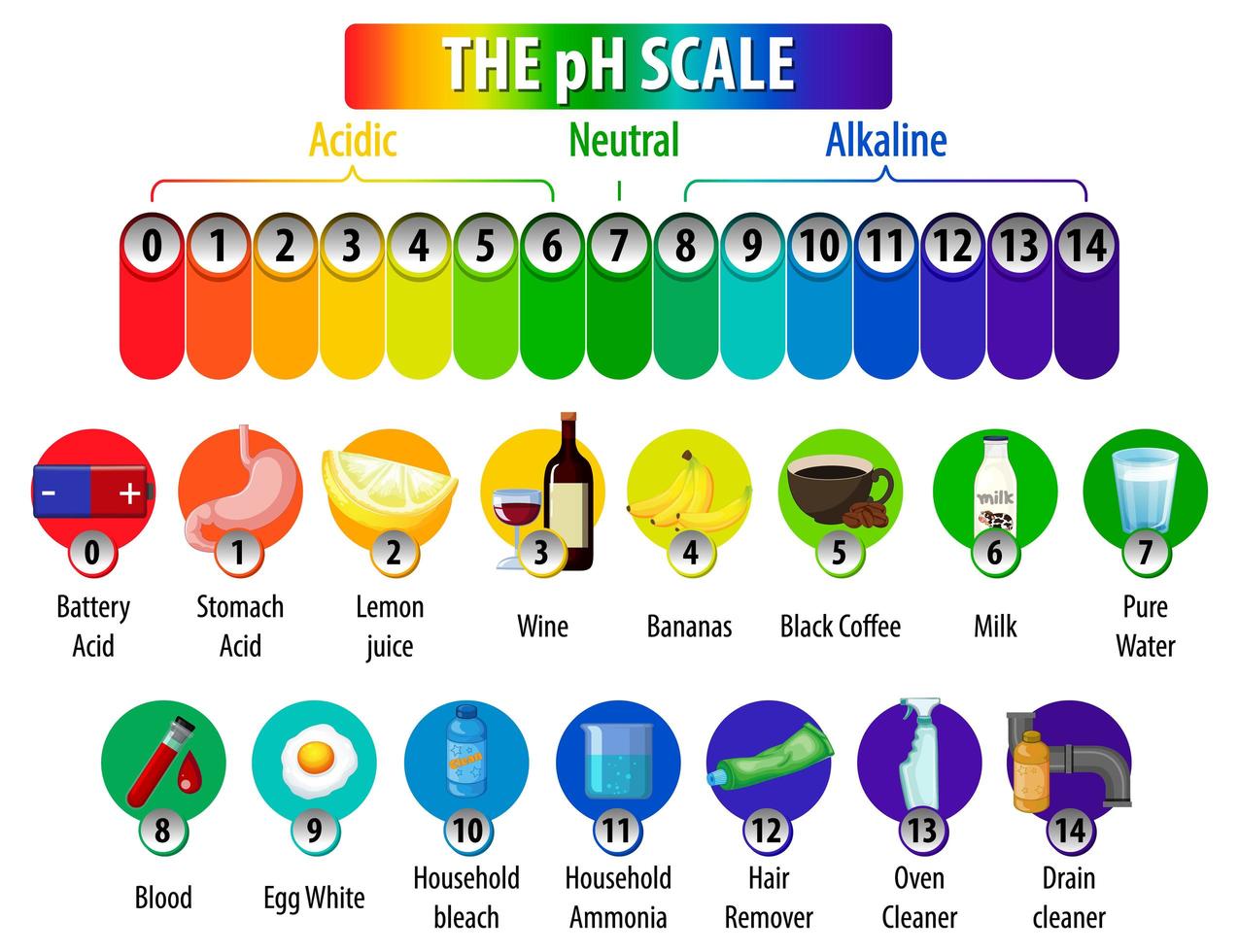 el diagrama de escala de ph sobre fondo blanco vector