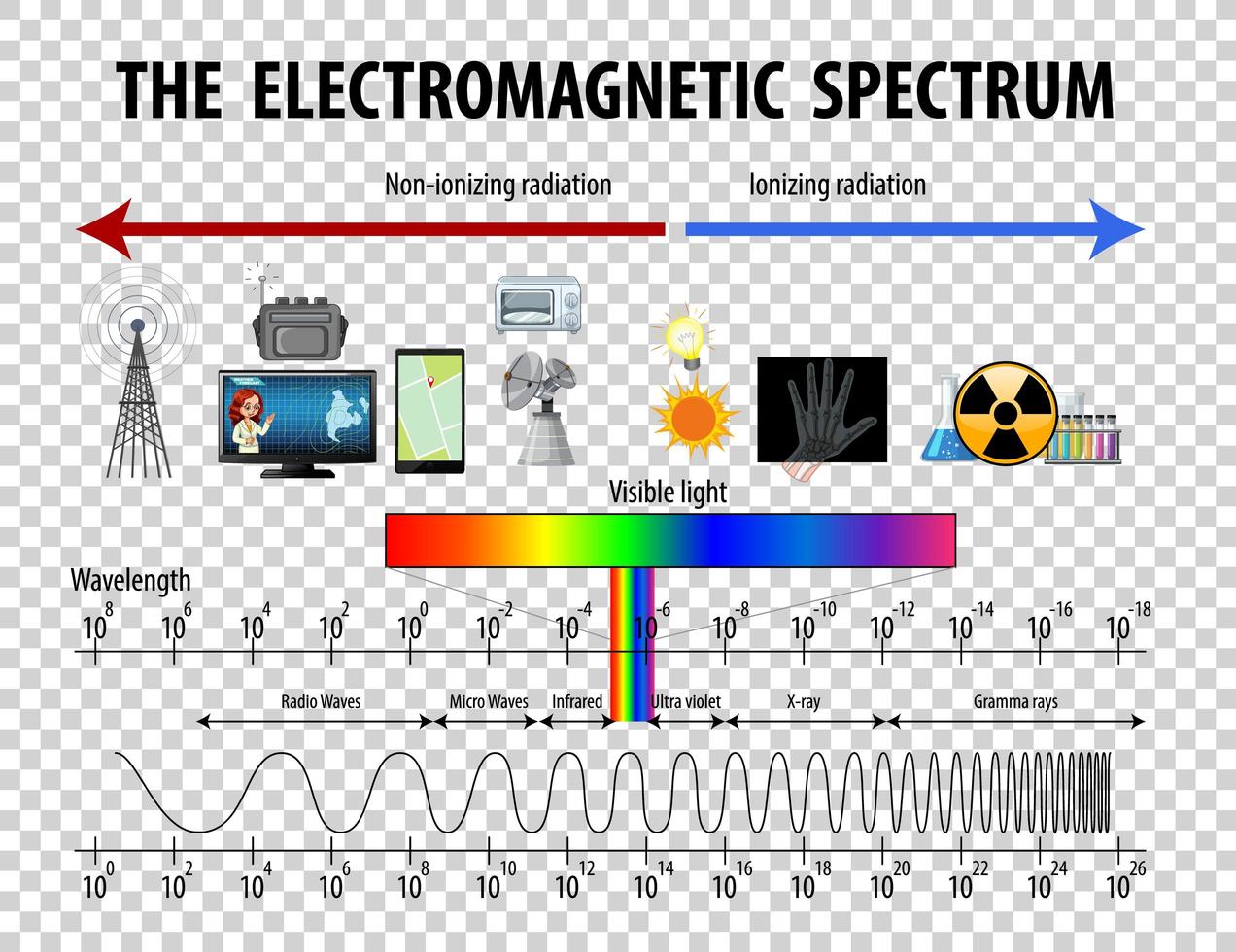 diagrama de espectro electromagnético de ciencia sobre fondo transparente vector