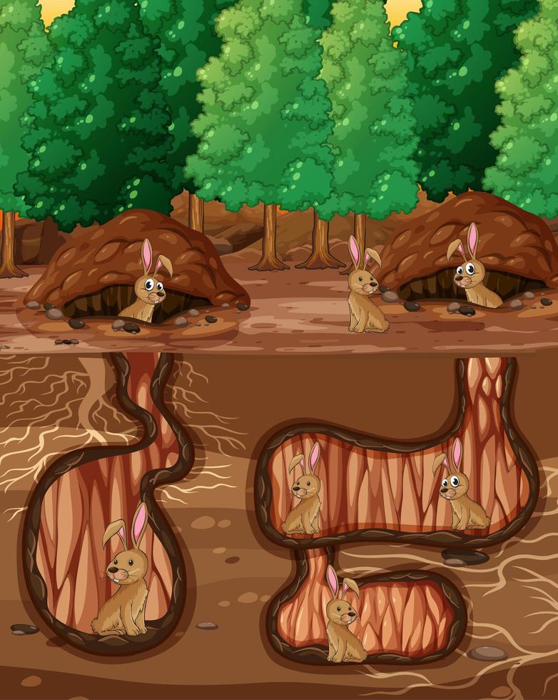 Underground animal hole with many rabbits vector