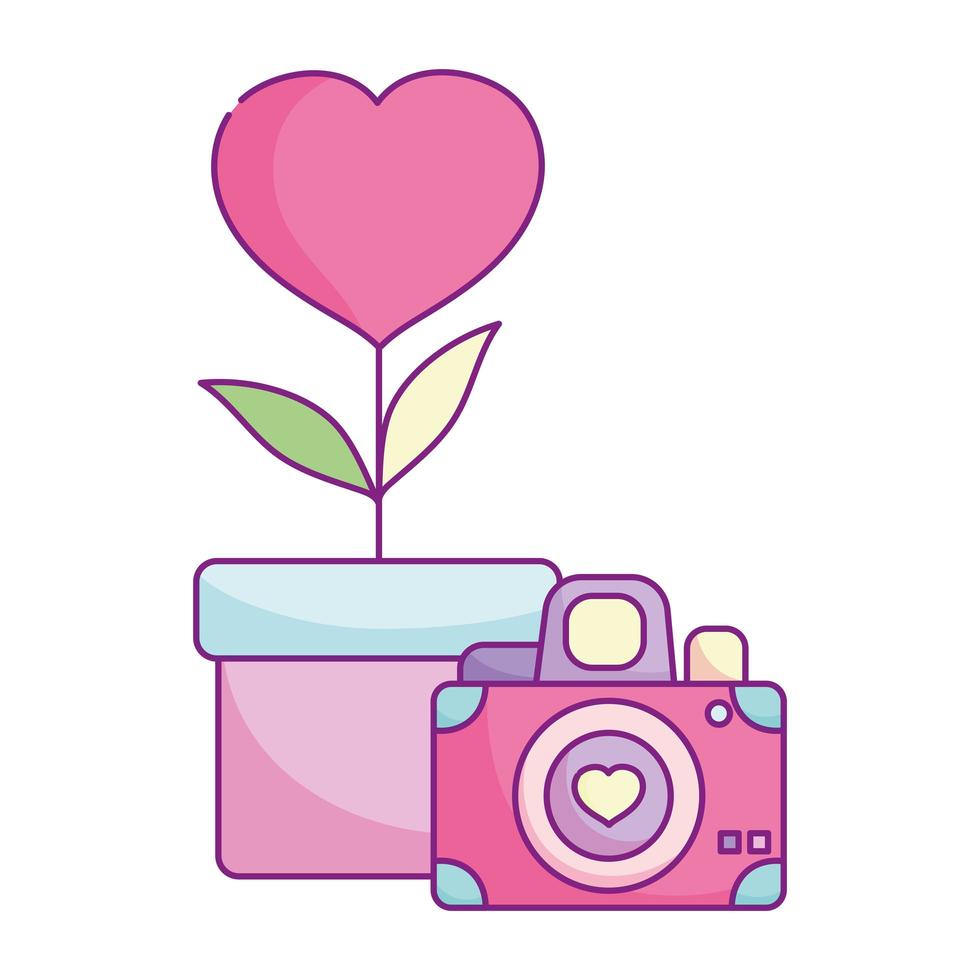 happy valentines day, camera flower heart in pot love vector