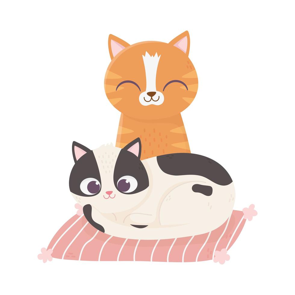 los gatos me hacen feliz, gatos lindos en dibujos animados de cojín vector