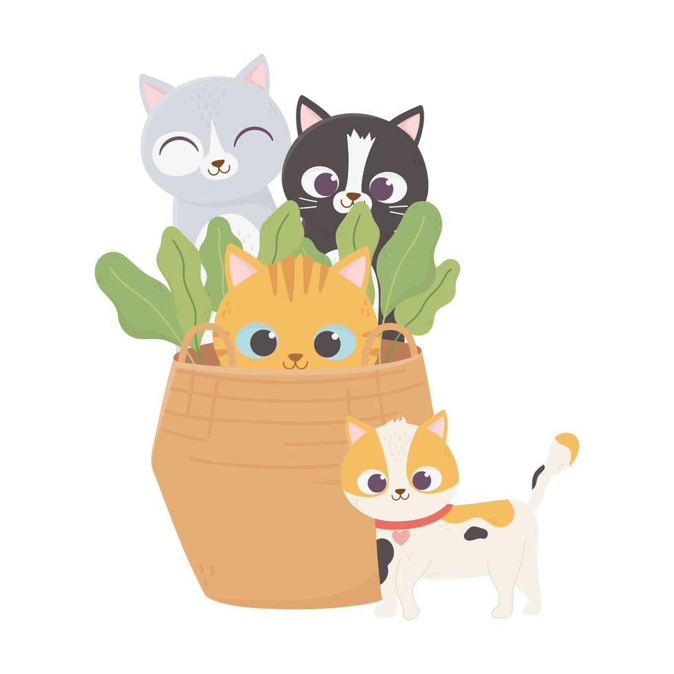 cats make me happy, pets cats in wicker basket plants cartoon vector