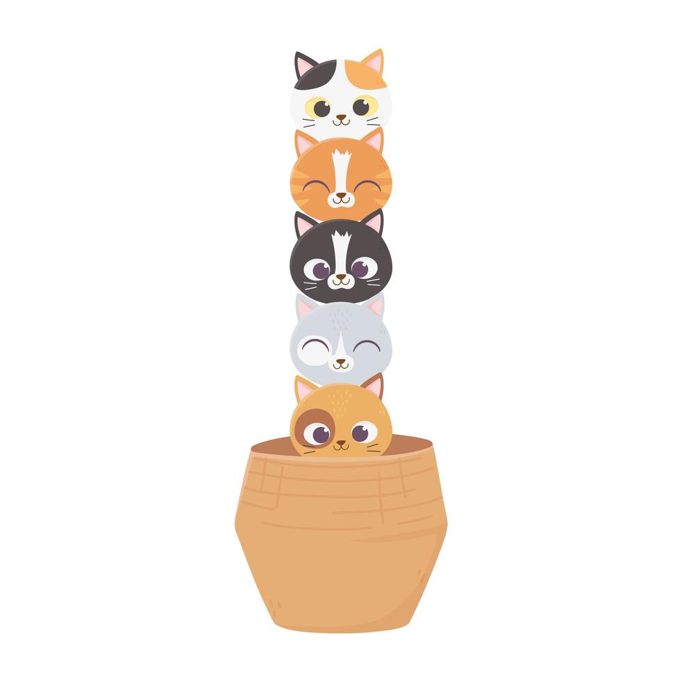 cats make me happy, cute cats pets animals in basket vector