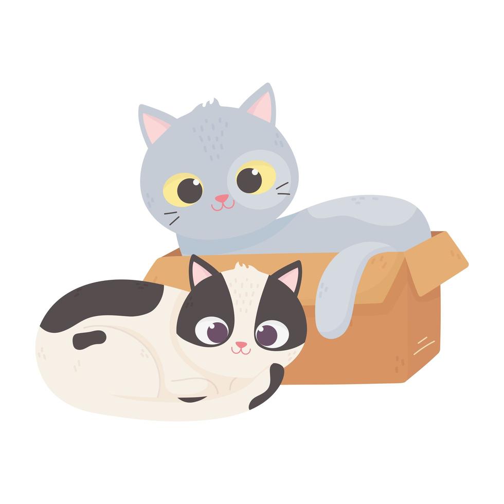 cats make me happy, cat in box and other sitting cartoon vector