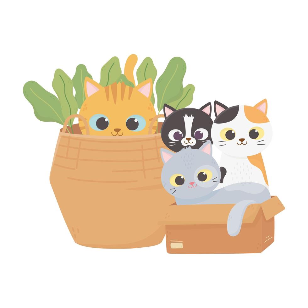 cats make me happy, cats in cardboard box and kitten in basket cartoon vector