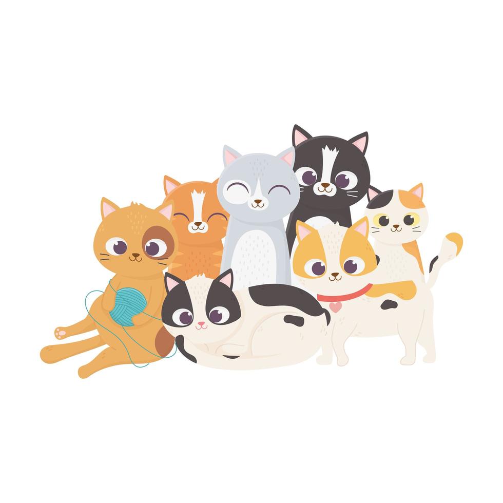 Gato con bola de lana y gatitos mascota doméstico felino vector