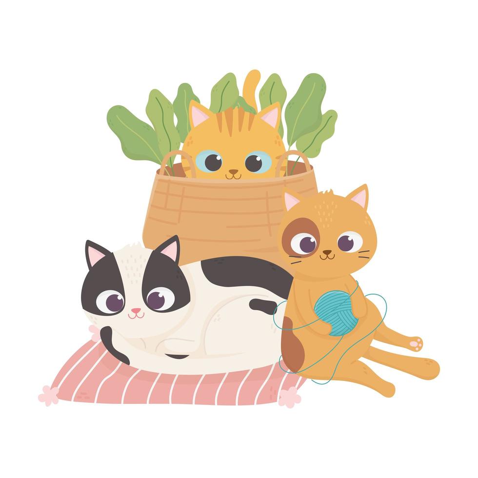 cats make me happy, cute cats with basket wool ball and different breeds vector
