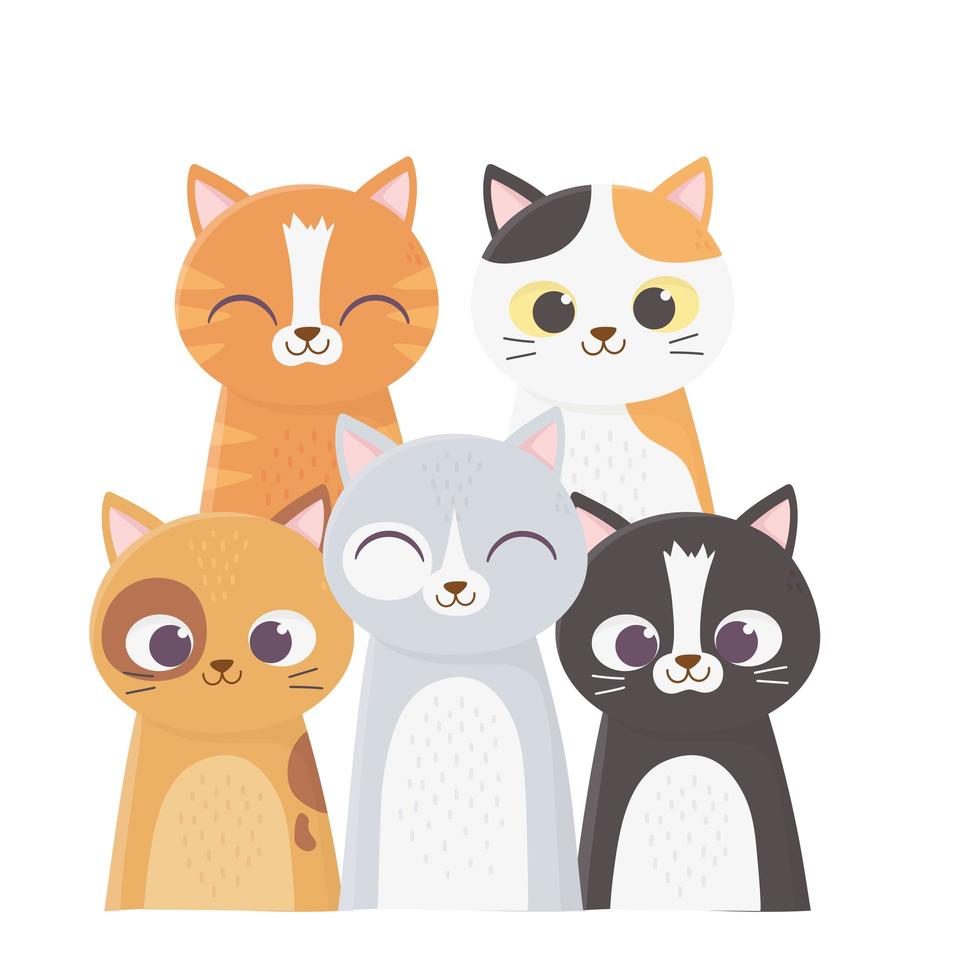 los gatos me hacen feliz, muchos gatos de diferentes razas de dibujos animados vector