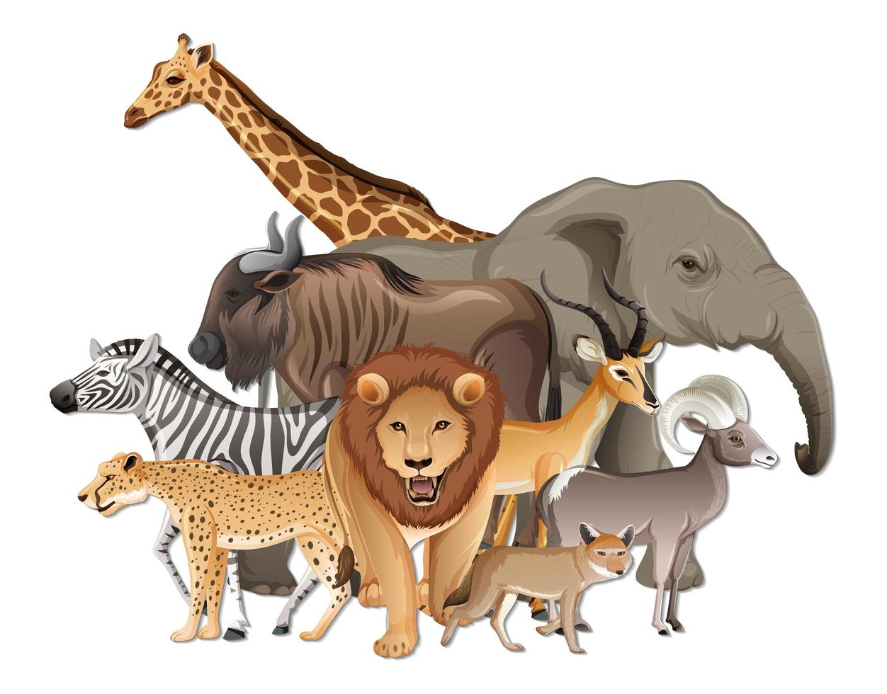 Grupo de animales salvajes africanos sobre fondo blanco. vector