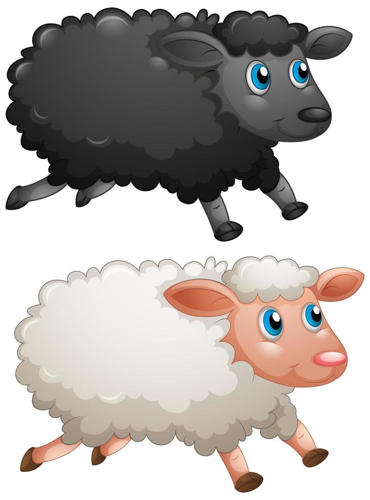 Black sheep and white sheep on white background vector