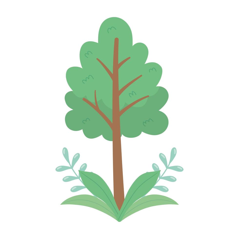 tree foliage branches leaves nature isolated icon design vector