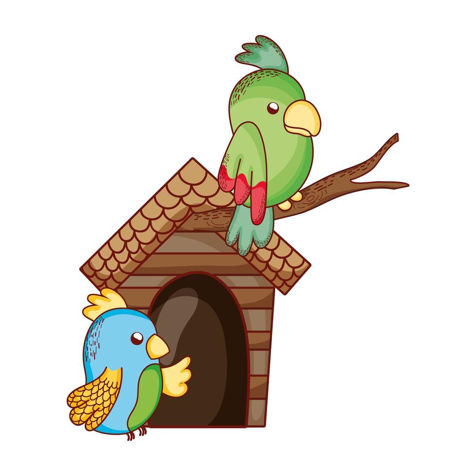 cute animals, green and blue parrots in branch cartoon vector