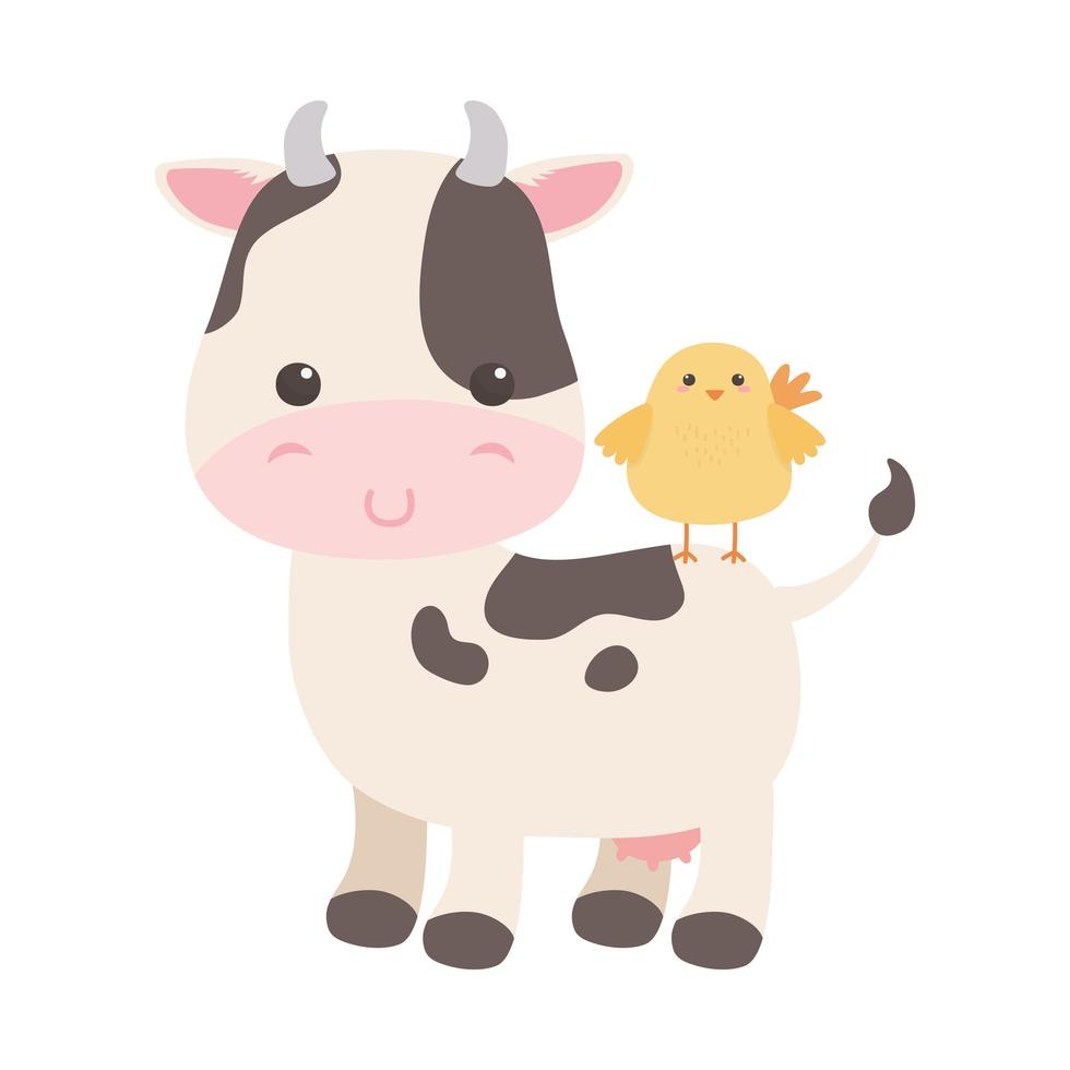 Pequeño pollo lindo en diseño aislado de dibujos animados de animales de vaca vector