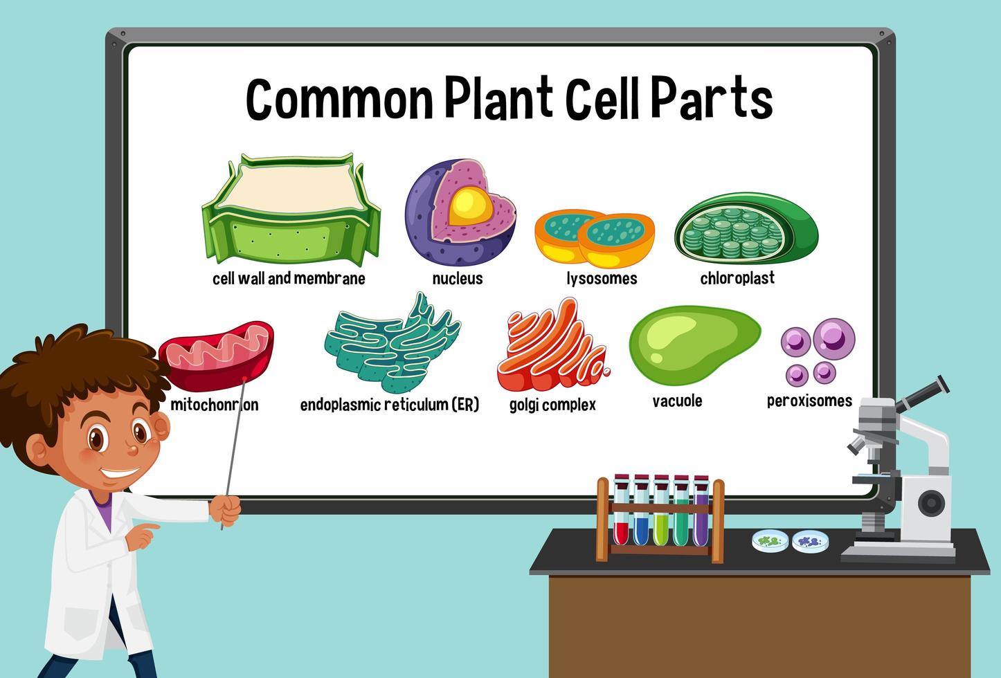 Joven científico explicando las partes de células vegetales comunes delante de una placa en el laboratorio vector