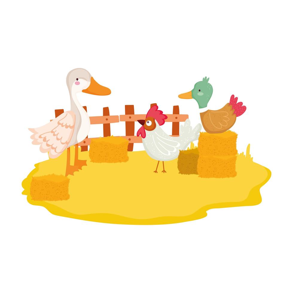 farm animals duck goose and rooster stack of hay vector