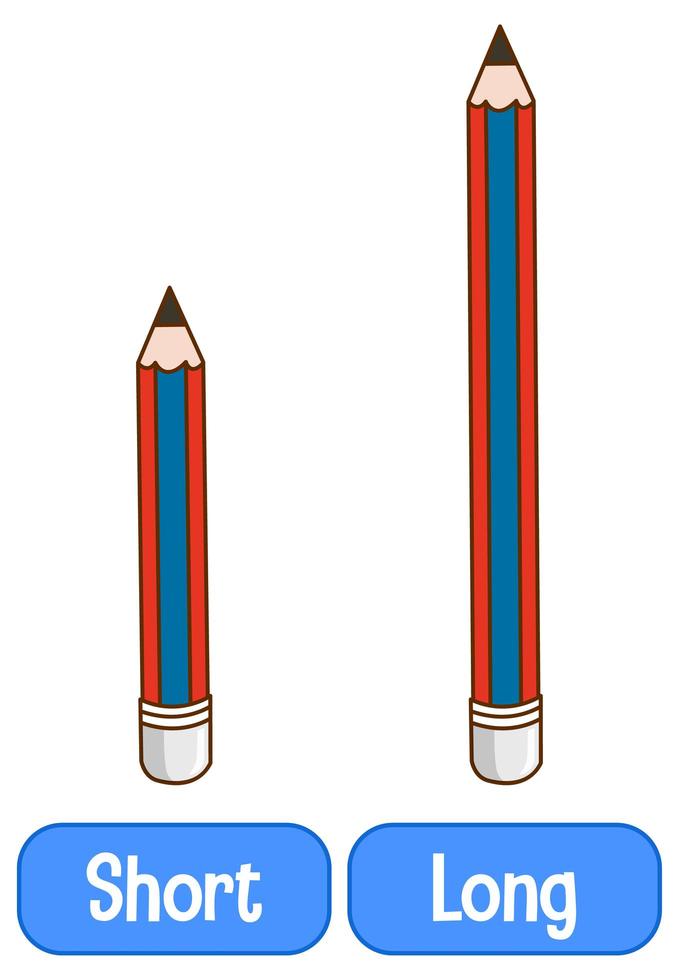 Opposite adjectives words with short and long vector