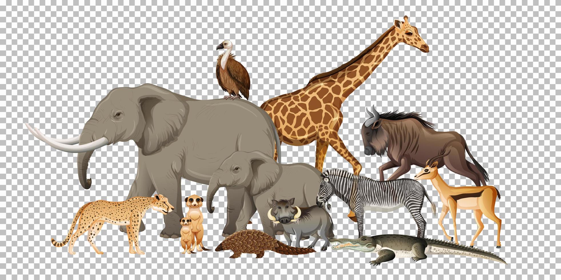 Group of wild african animal on transparent background vector