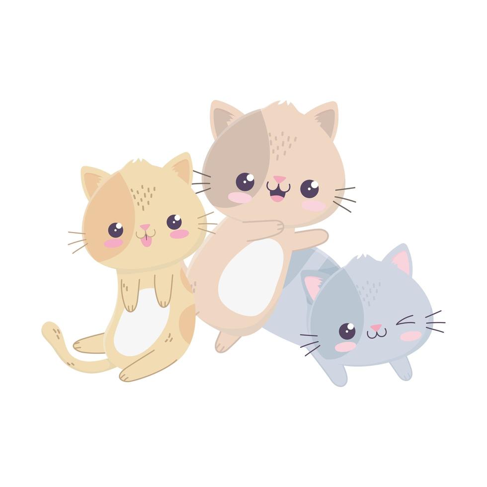 lindos gatitos hola kawaii personaje de dibujos animados vector