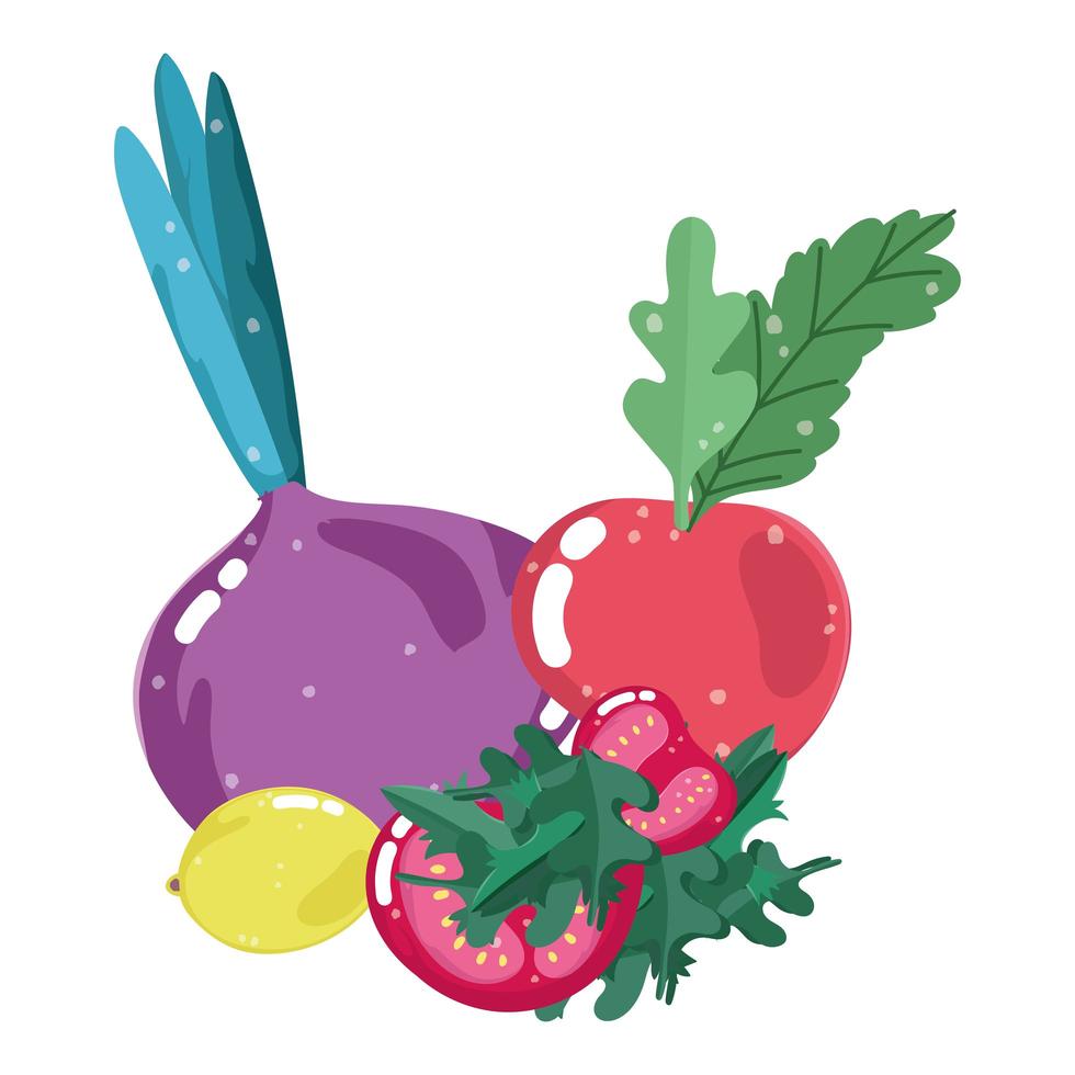 food healthy nutrition vitamin fresh organic beet radish tomato and lemon vector