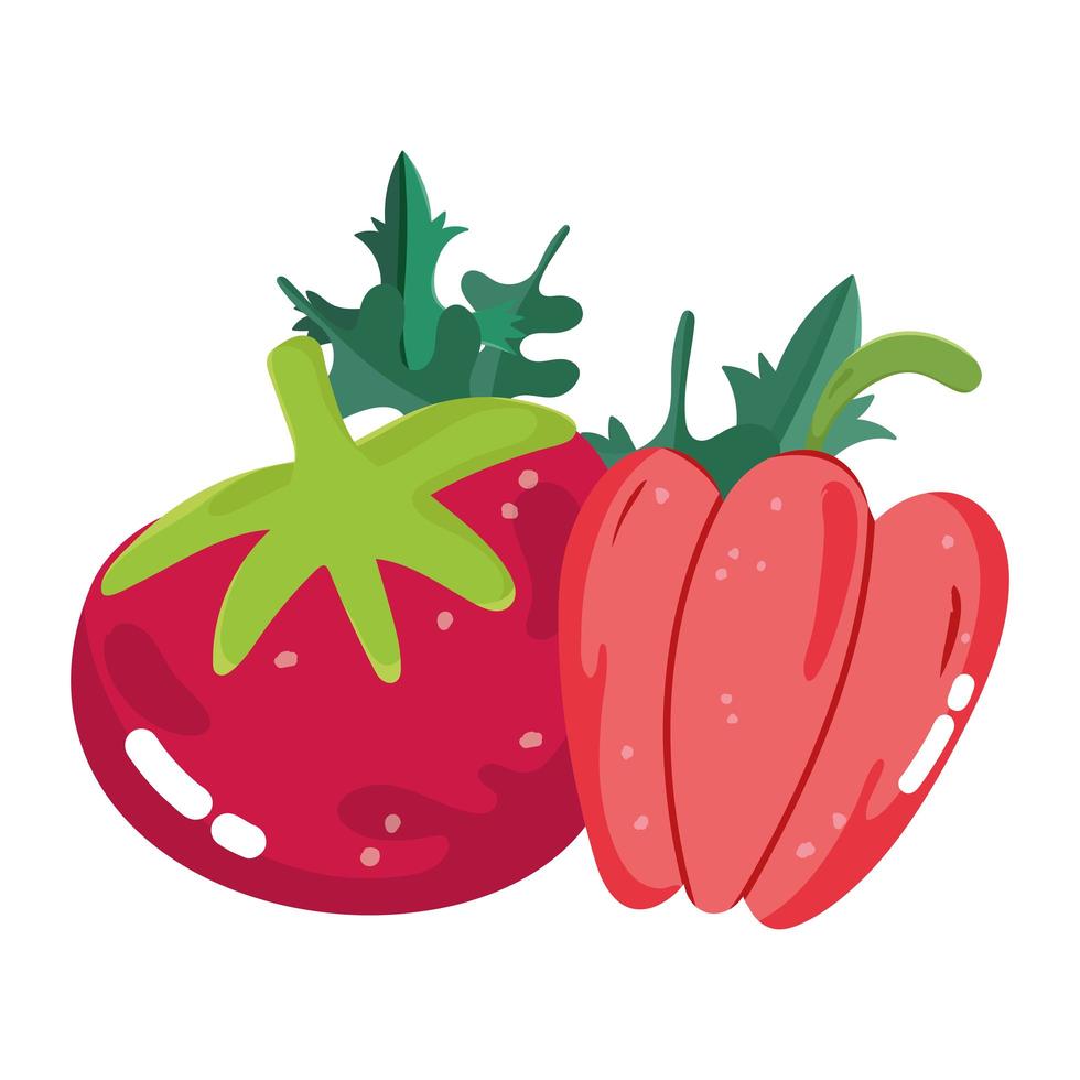 menú de ingredientes de alimentos verduras frescas de dibujos animados tomate y pimiento vector