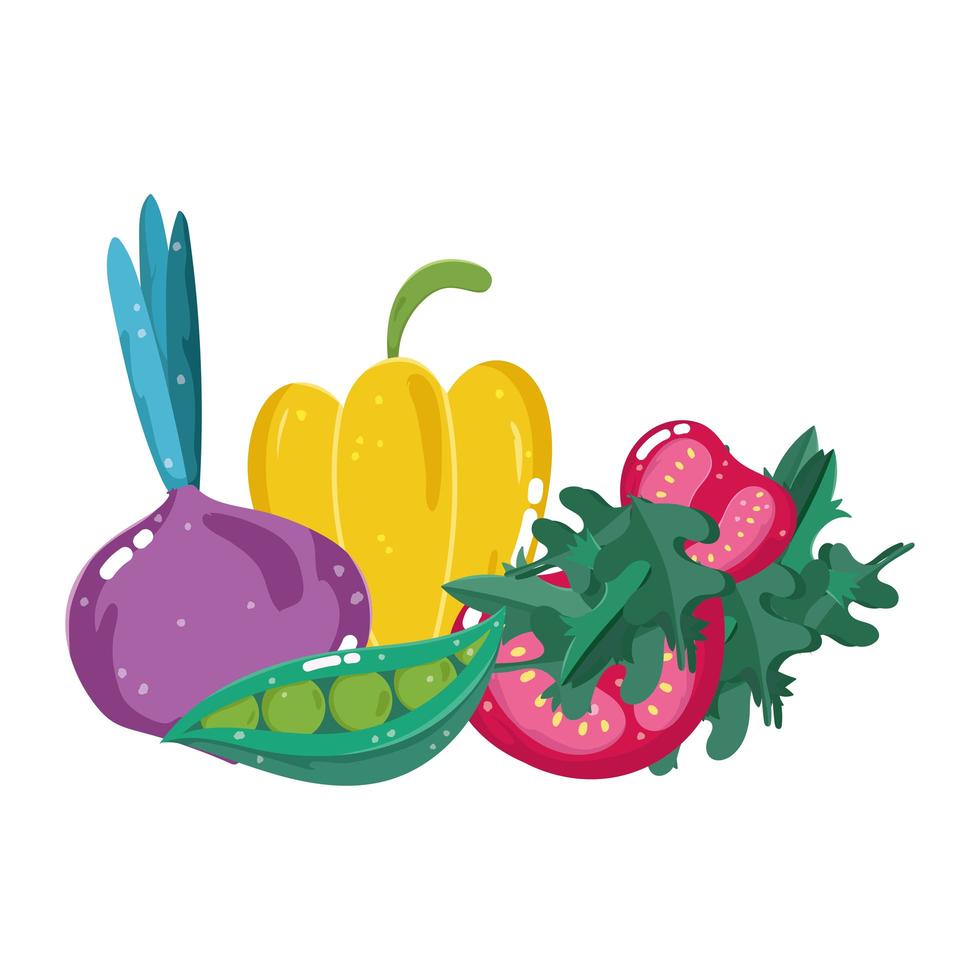 comida verduras pimiento remolacha rábano y tomate menú dieta fresca ingrediente vector