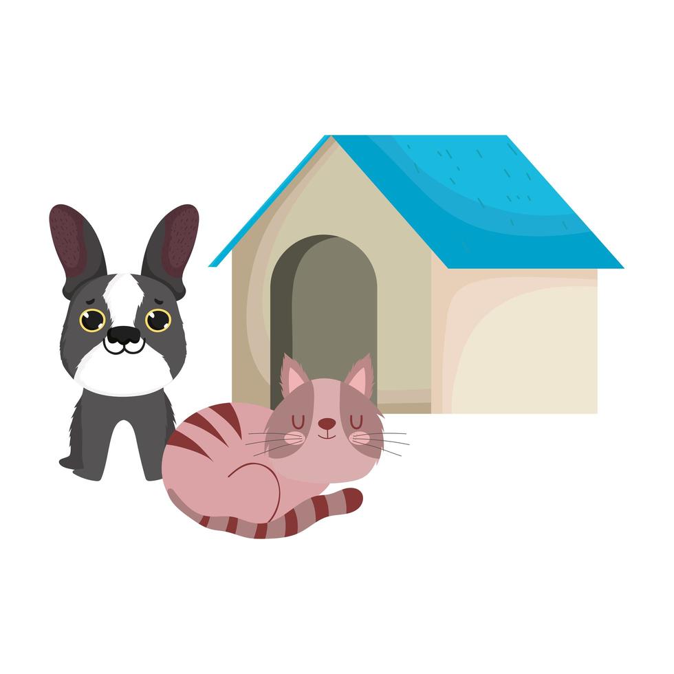 pet shop, dog and sleeping cat with house animal domestic cartoon vector