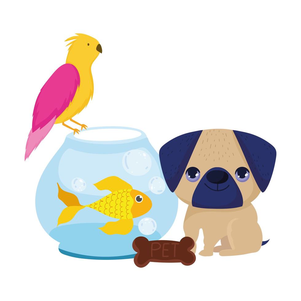 tienda de mascotas, pequeño cachorro pájaro pescado y galleta animal doméstico dibujos animados vector