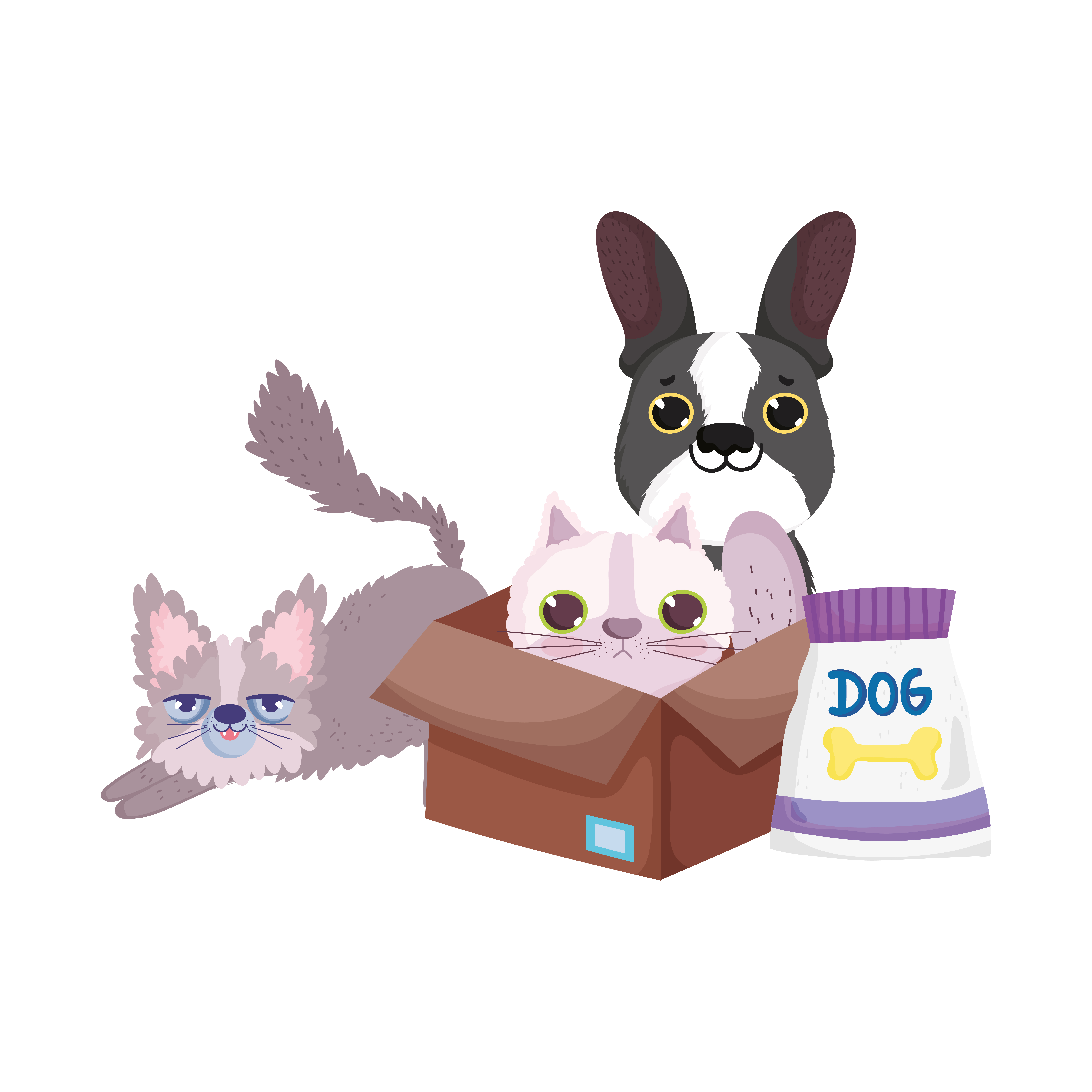 pet shop, little cats and dog with box and food pack animal domestic cartoon 1848150 Vector Art at Vecteezy pet shop, little cats and dog with box and food pack animal domestic cartoon 1848150 Vector Art at Vecteezy